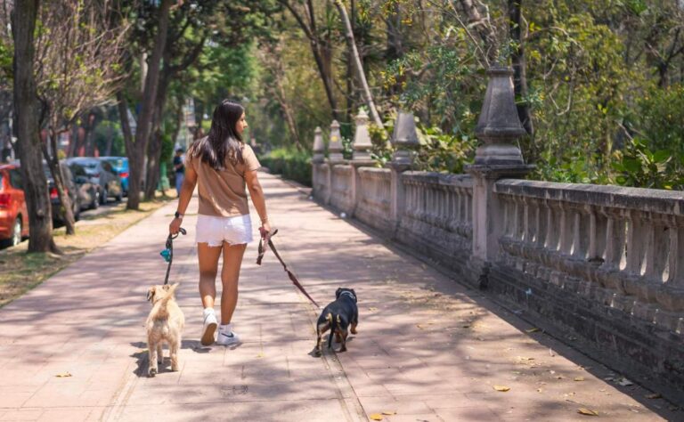 ¿Caminas 10 mil pasos al día? Estos son los beneficios de hacerlo