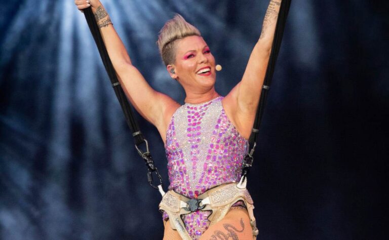 Fan de Pink le aventó cenizas de su madre durante un concierto