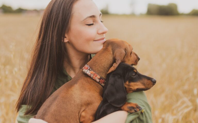 Cuáles son las razas de perros que acompañan mejor a las mujeres