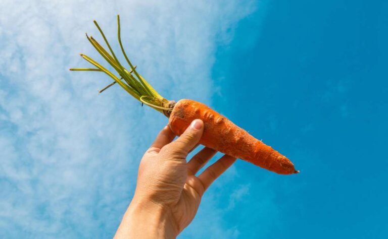 ¿Te puedes 'broncear' por comer muchas zanahorias?