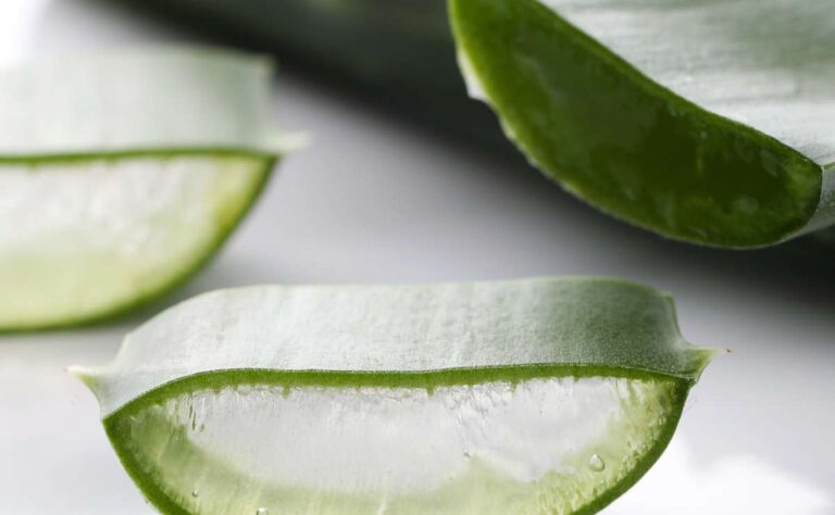 Los beneficios de usar aloe vera en tu cabello