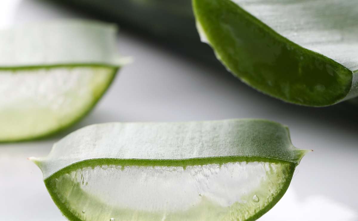 beneficios de usar aloe vera en tu cabello